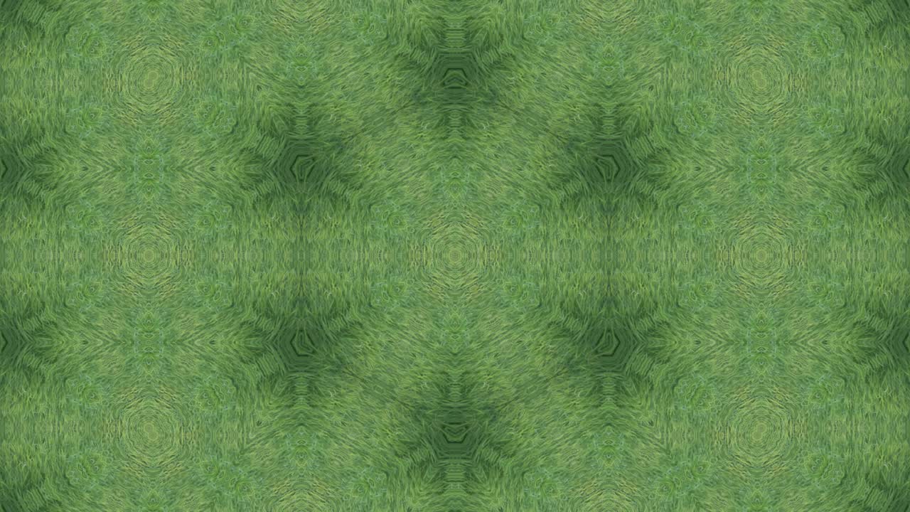 una vista caleidoscópica de una planta verde.