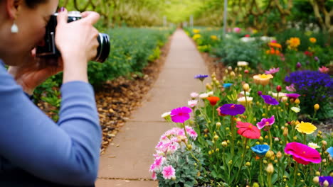 a photographer captures colorful flowers in a vibrant garden