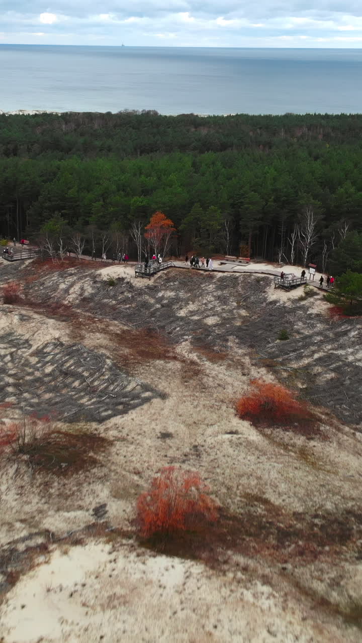 Vista aerea di dune sabbiose, foresta e mare con persone su una passerella