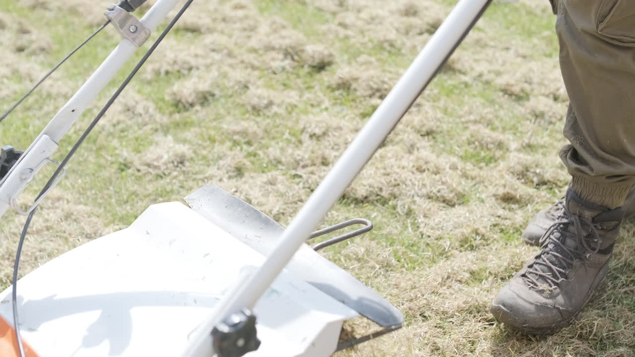 Person Scarifying Lawn with Dethatcher Machine to Remove Dead Grass