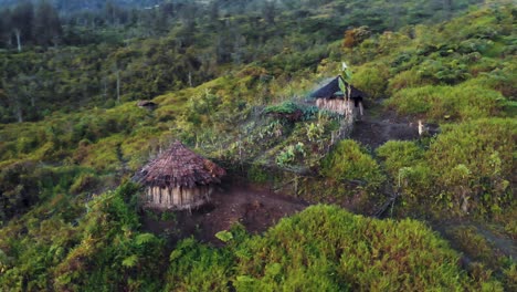 Stunning-aerial-footage-of-authentic-Papuan-huts,-located-high-in-the-mountains-of-Papua,-Indonesia