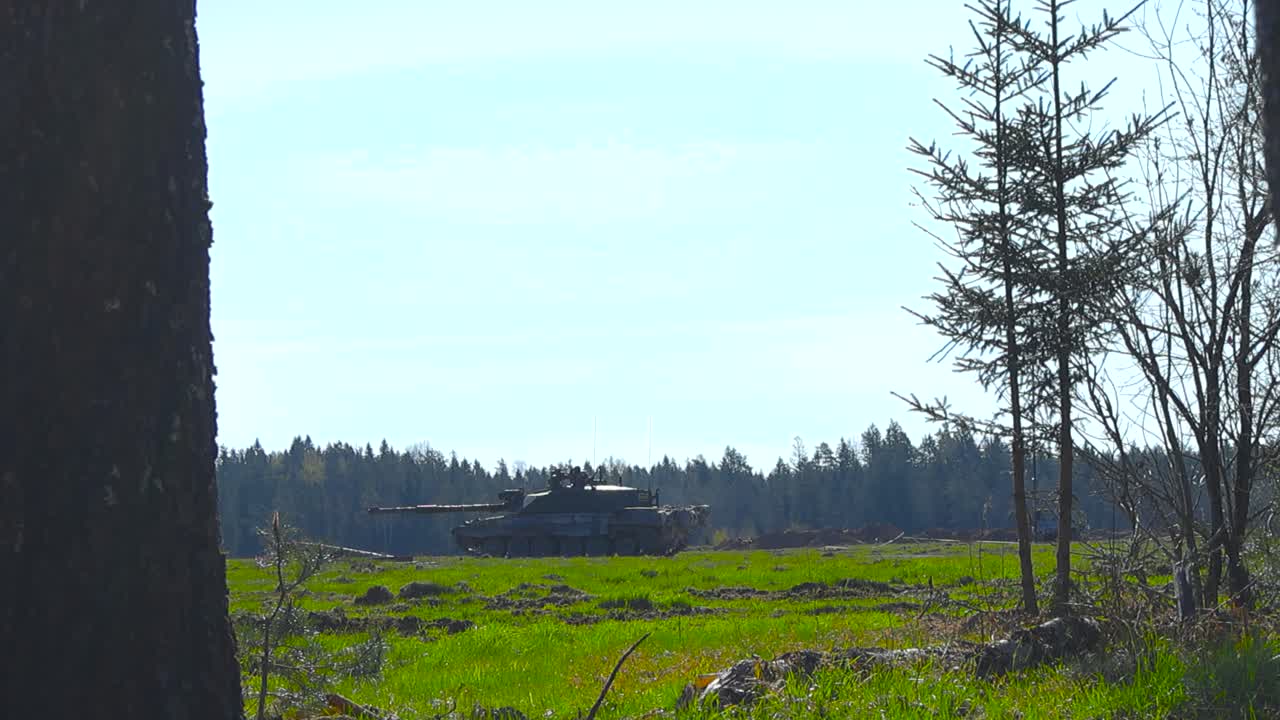 Awesome video footage of a British Challenger 2 tank aiming at an enemy on a green grassy summer sunny field with its large cannon weapon, viewed from behind large and old trees in a pine forest.