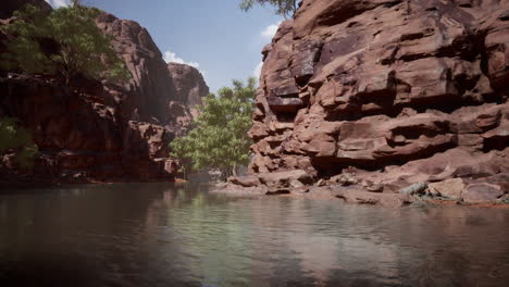 Rocks-of-Colorado-river-with-trees