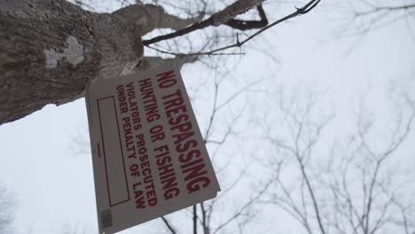 no trespassing, hunting or fishing sign on tree artistic angle