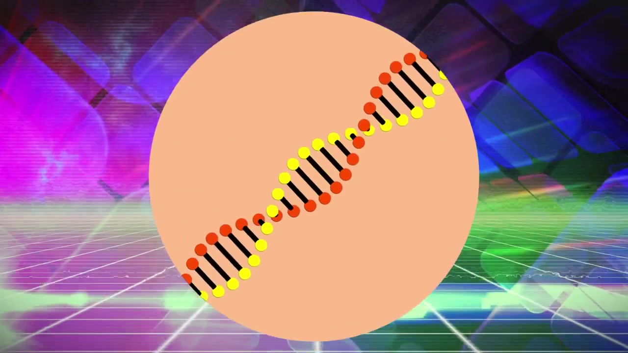 แอนิเมชันโครงสร้าง DNA กำลังหมุนซ้อนทับเครือข่ายตารางสีเขียวบนพื้นหลังสีเทา