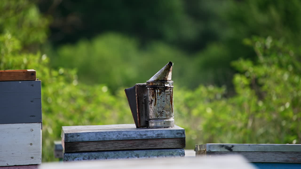 Old metal smoker with smoke coming from it stands on the hive. Instruments for apiculture. Green nature in blur at backdrop.