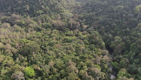 paisaje de un pequeño río salvaje en el bosque con terreno accidentado y acantilados