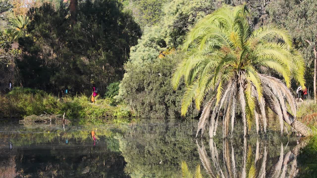 personas caminando cerca de un lago con palmeras