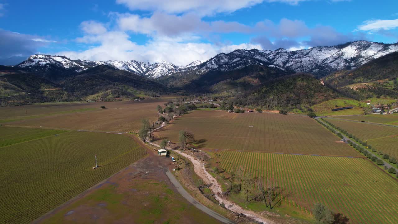 lento retroceso aéreo sobre viñedos verdes en el valle de napa