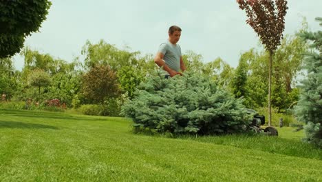 lawn mower cutting the grass. gardening activity. cutting grass with petrol driven lawn mower in sunny garden. gardener working with  mower machine in the garden. lawn mower cutting green grass