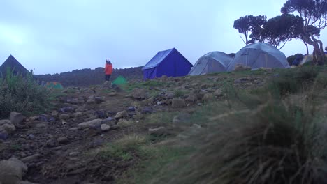 kilimanjaro hike camp with tents and male passing by