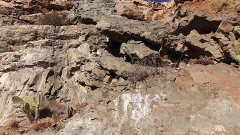 cliffs in the great karoo