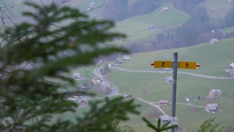 disparo deslizante detrás de un pino para mostrar una señal de sendero en suiza