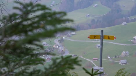 sliding shot behind a pine tree to show a trail sign in switzerland