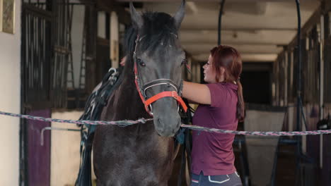 woman grooming a horse in a stable