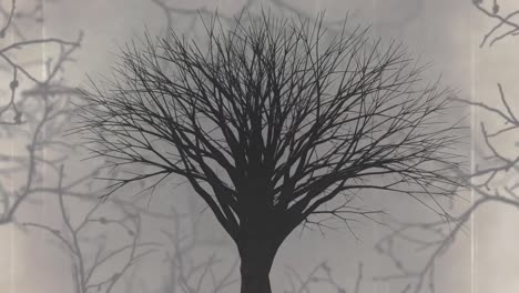 Animation-of-interference-over-spooky-halloween-tree-and-branches-on-white-background