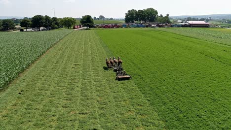 Horses-and-Amish-Worker-engage-in-plowing-the-field-with-classic-farm-equipment