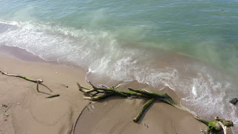 aerial descending over montesinos beach, dominican republic