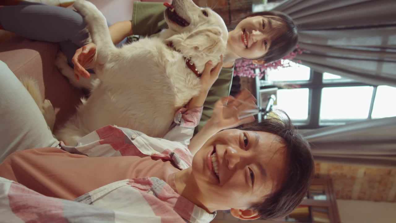 긍정적 인 아시아 여성은 개를 고 웹에서 채팅합니다.