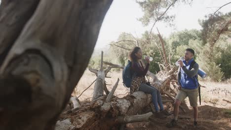 happy african american couple sitting on tree trunk and drinking water in forest, slow motion