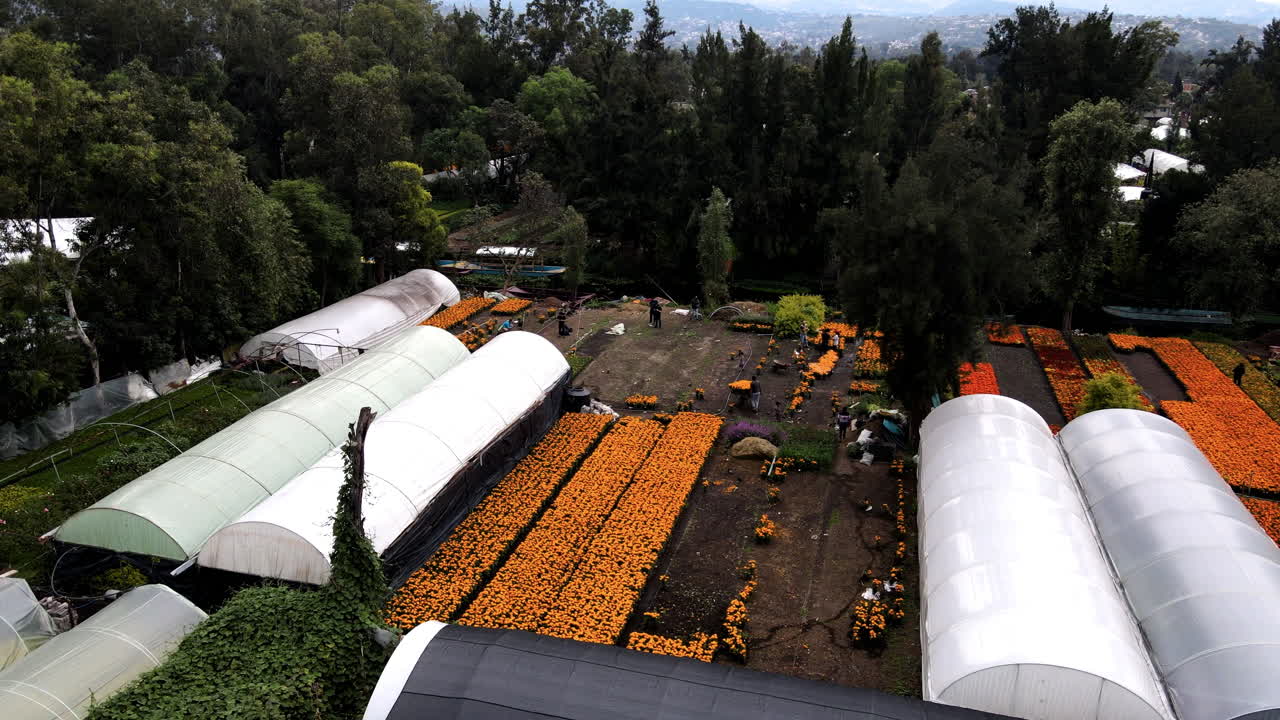 xochimilco의 온실 라운드 샷