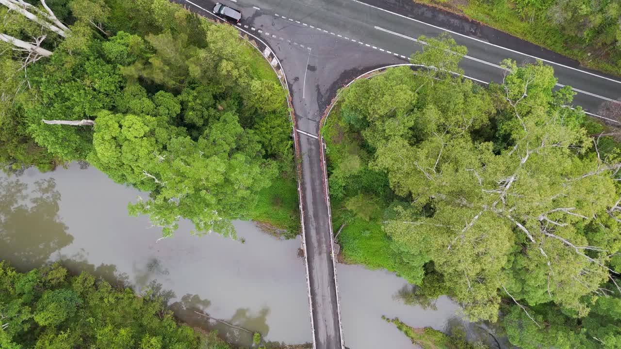 울창 한 초록색 으로 둘러싸인 하천 을 가로지르는 다리