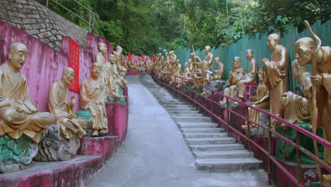 tracking out of buddha statues in rows