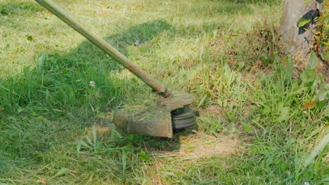 trimmer head mows grass with a rotating line close-up shot