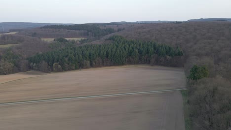 brown wheat fields surrounded by large patches of coniferous und deciduous forests during a cloudy sunset