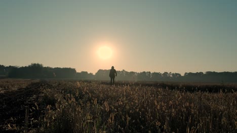 a man walks through a burned field at sunrise and sunset. silhouette