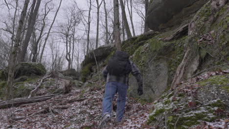 a lone hiker climbs up the mountainside and up steep rocky moss covered ledges in early winter with a light snow cover