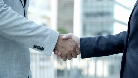 people shaking hands outdoor