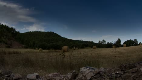 campo de cosecha timelapse 01