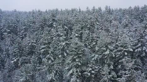Tilting-down-towards-a-snow-covered-evergreen-ridge-during-a-blizzard-AERIAL-SLOW-MOTION