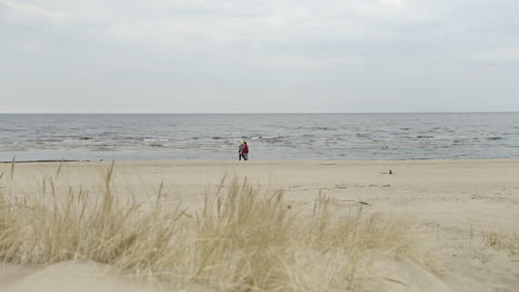 the gulf of riga in the spring