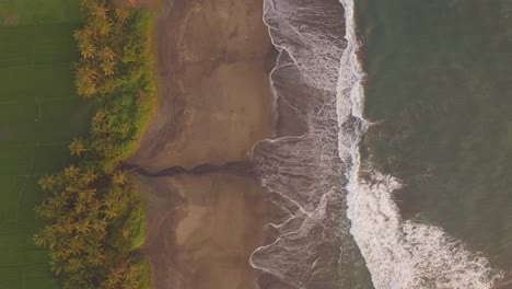 beautiful drone footage with shoreline zooming in to a lovely couple