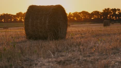una pila de heno yace en un campo después de la cosecha