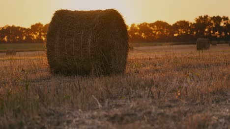 a stack of hay lays in a field after harvest