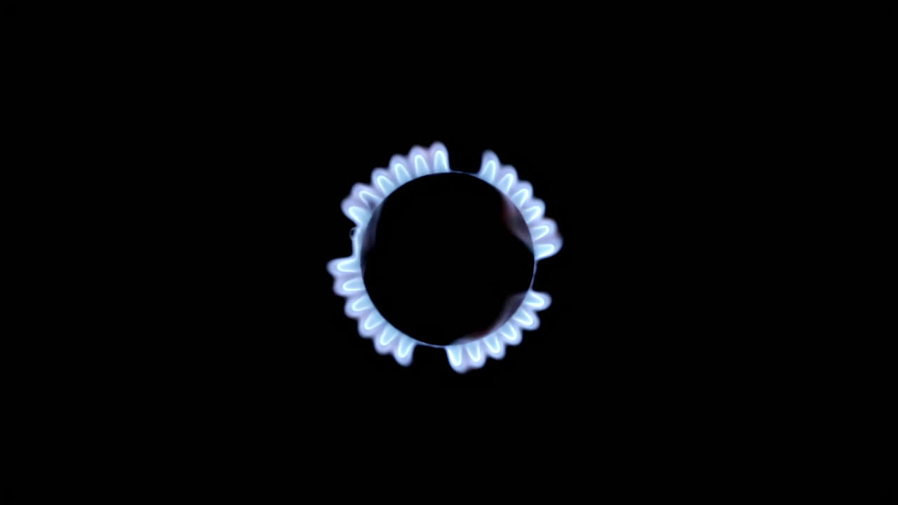 Gas burner flame