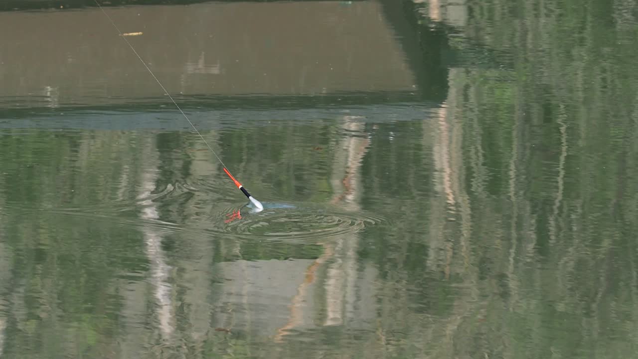 un flotador de pesca flota en el agua de un río