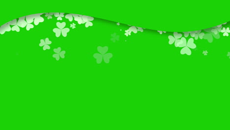 animation saint patricks day with motion green shamrocks 22