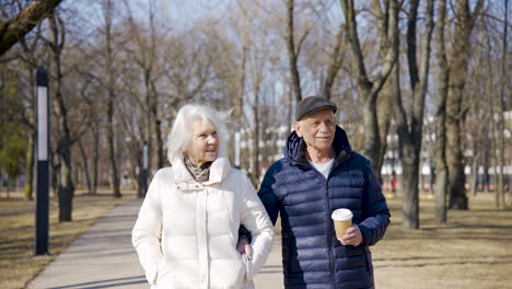 senior couple holding hands and walking in the park on a winter day