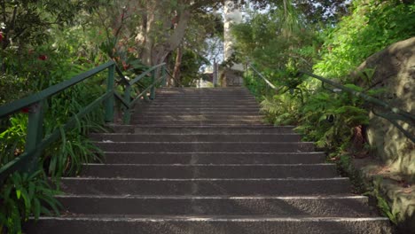 walking to uphill by long stair with nature