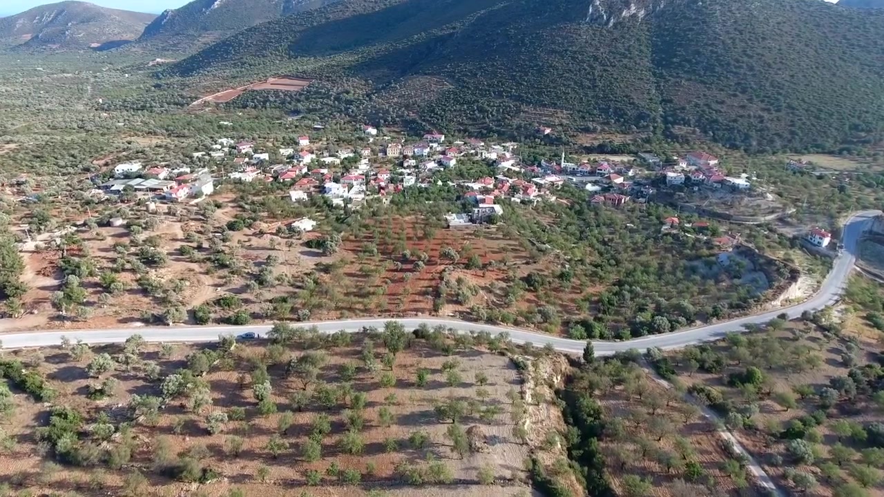 Vista Aerea di un Piccolo Villaggio Circondato da Uliveti.