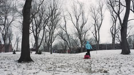 Sleigh-ride-in-the-park-on-a-cold-winter-day---Mother-and-child---drone-follow---cinematic---4K