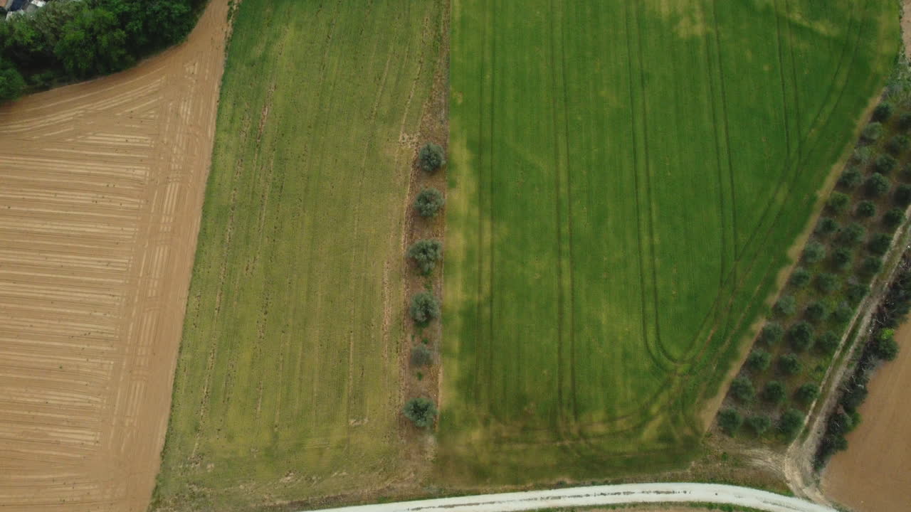 vista aérea de los campos agrícolas