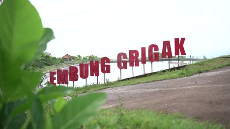 beautiful morning view of the grigak pond, a pond on the edge of the southern sea in gunung kidul district, yogyakarta, indonesia