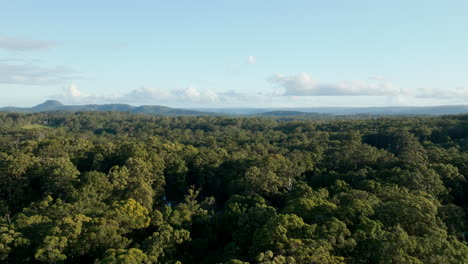 Malerische-Drohnenüberführung-über-Grüne-Baumkronen-Buschkronen-Mit-Blauem-Himmel-In-Australien,-4K-Auflösung