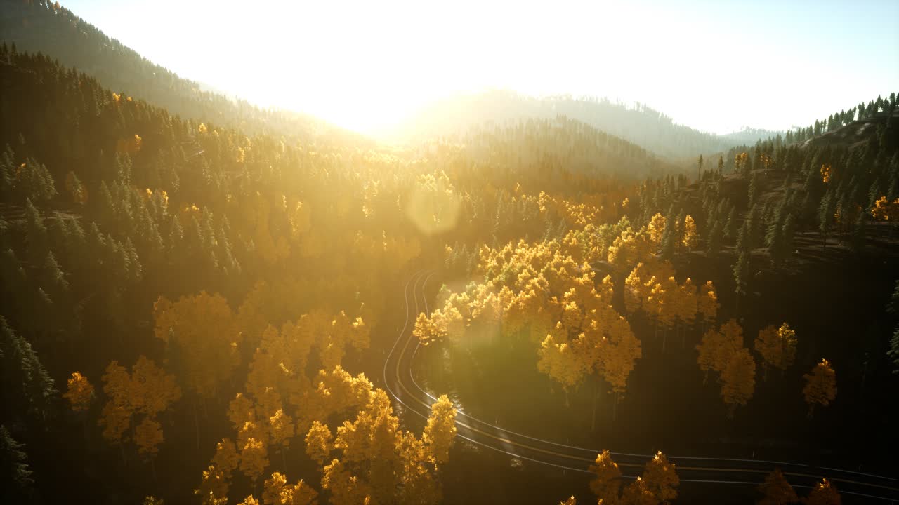 해질녘 산에 있는 소나무 숲 위로 공중 드론 보기 비행