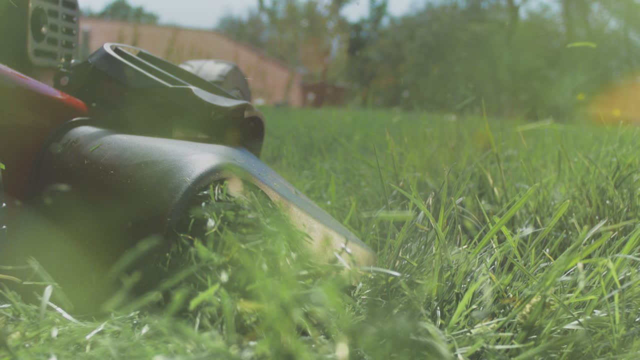 cortadora de césped en el césped